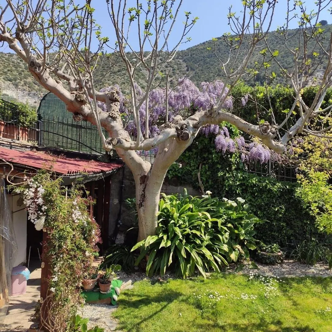Creativhause 2 Apartment San Giuliano Terme Homestay