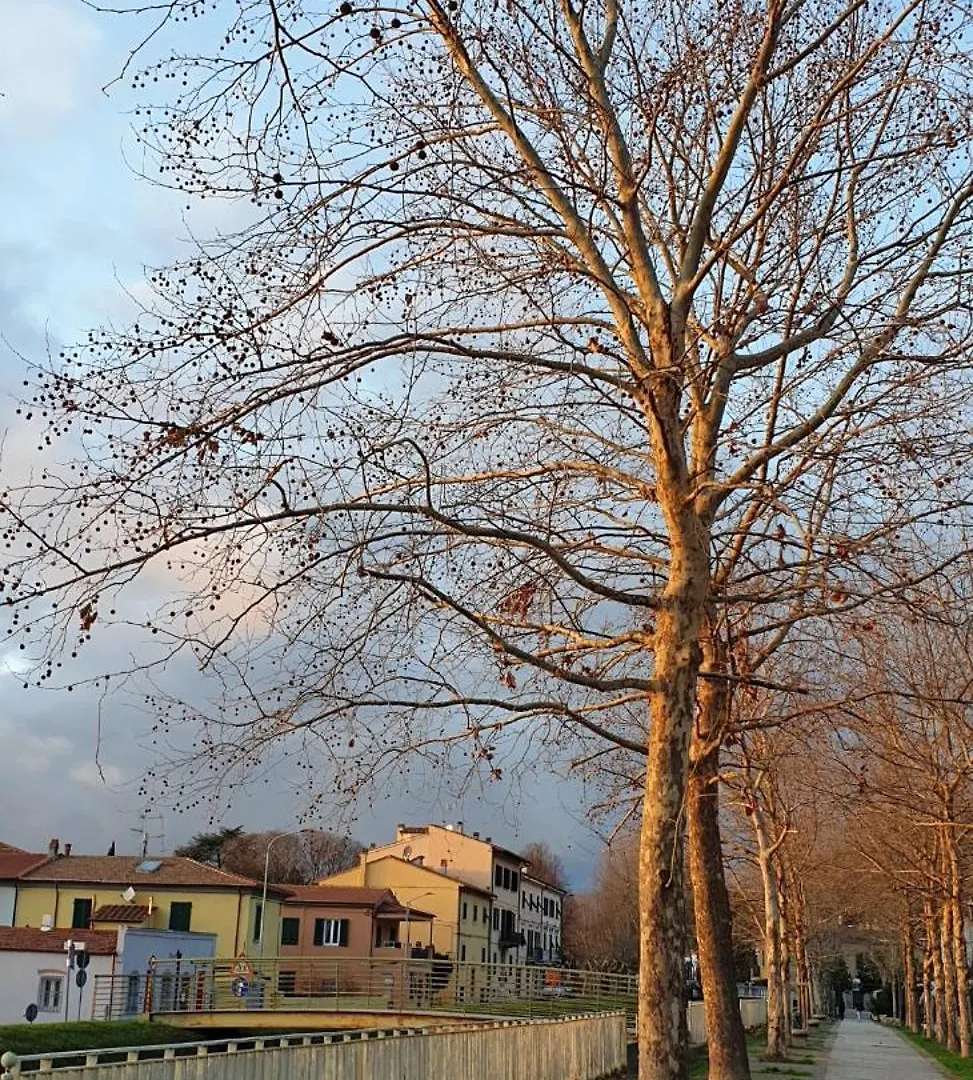 Creativhause 2 Apartment San Giuliano Terme 0*,