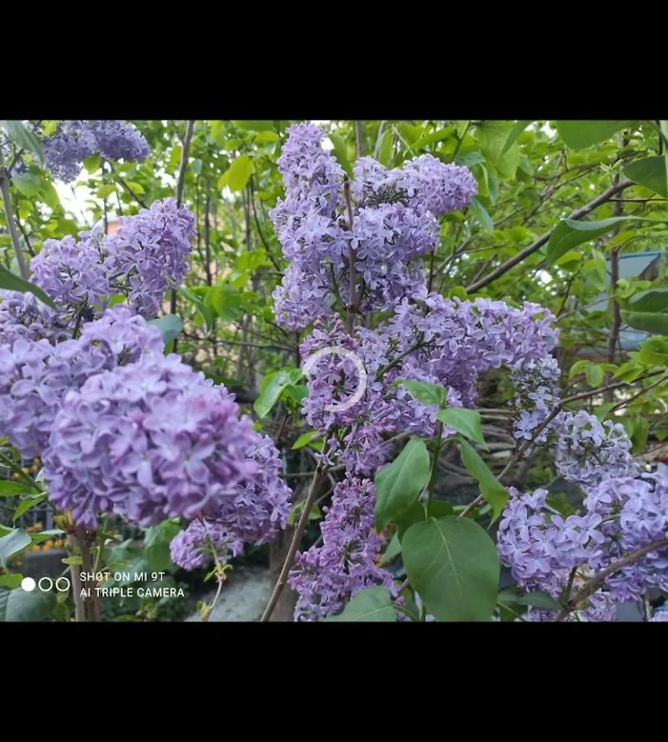 Creativhause 2 Apartment San Giuliano Terme Homestay