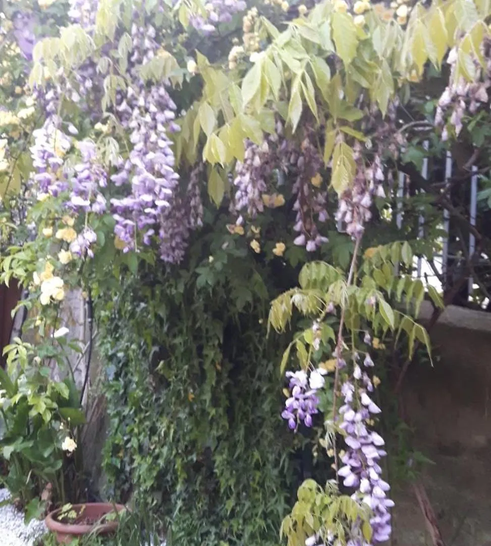 Creativhause 2 Apartment San Giuliano Terme