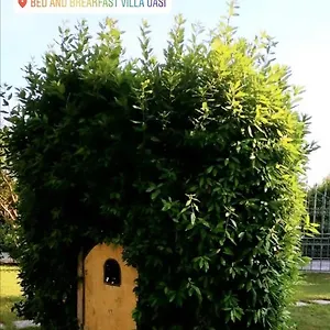 Bed & Breakfast Oasi, San Giuliano Terme