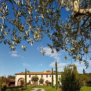 Bed & Breakfast Ai Condotti Di Pisa Da Filippo, San Giuliano Terme